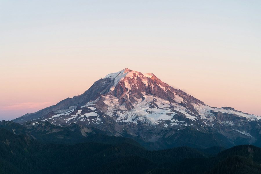 Rainier showcase design preview